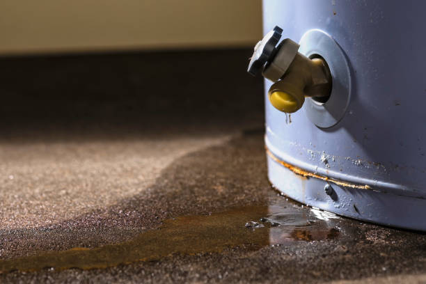 Best Commercial water damage restoration  in Calverton Park, MO