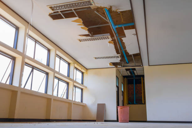 Best Water damage contractors near me  in Calverton Park, MO