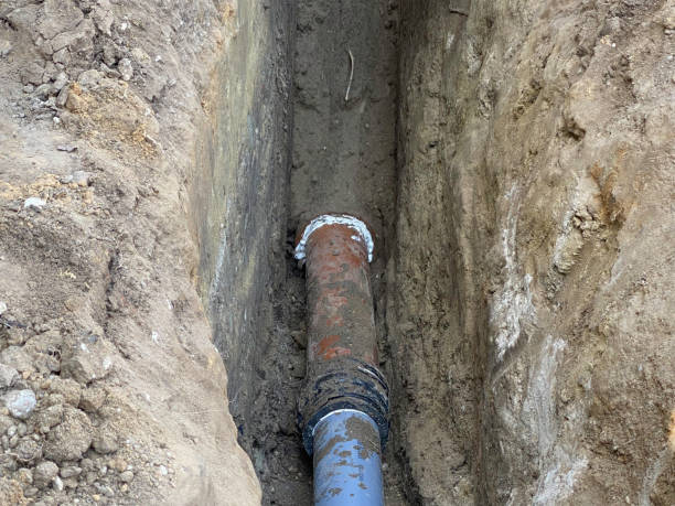 Best Professional water damage repair  in Calverton Park, MO