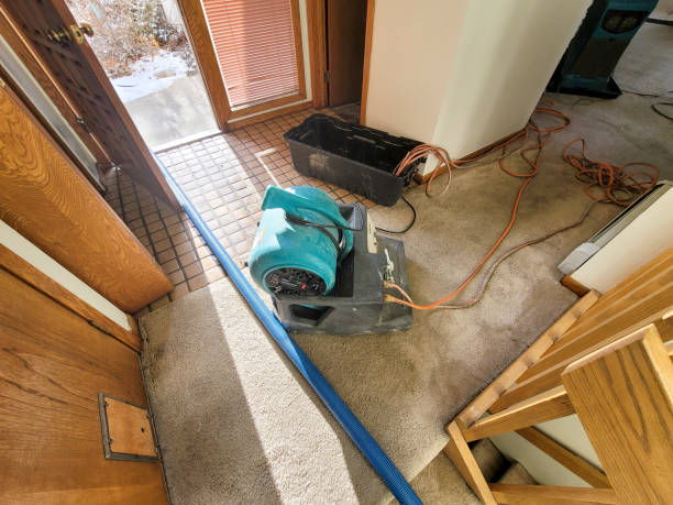Best Carpet water damage restoration  in Calverton Park, MO