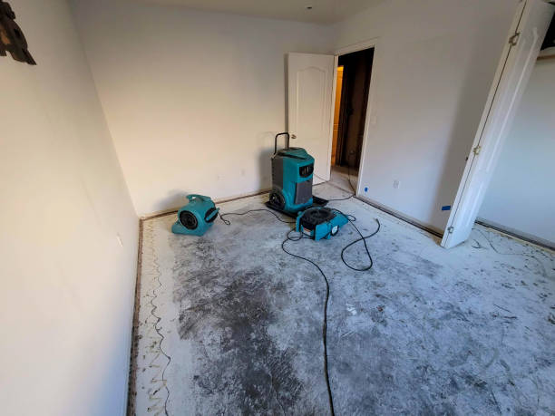 Best 24-hour water damage restoration  in Calverton Park, MO