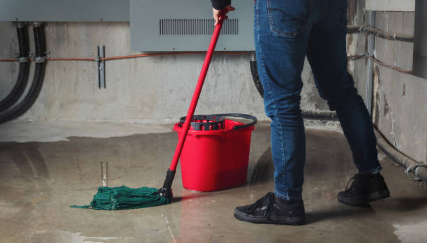 Best Local water damage restoration  in Calverton Park, MO