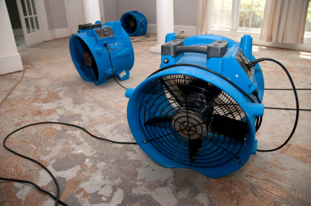 Best Water damage cleanup near me  in Calverton Park, MO