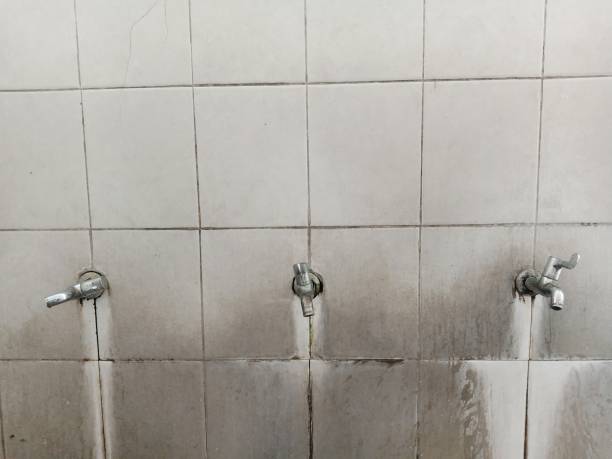 Best Fire Damage Restoration  in Calverton Park, MO