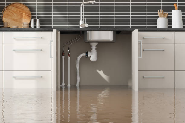 Best 24-hour water damage restoration  in Calverton Park, MO