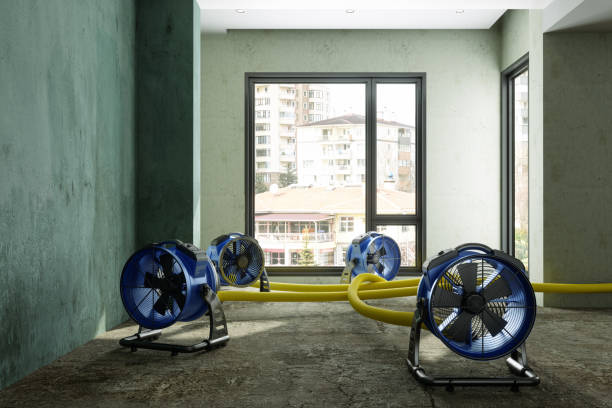 Best Water damage cleanup near me  in Calverton Park, MO